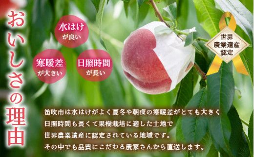 山梨県笛吹市産　夢桃香　訳あり　箱込み約6.5キロ　新品種　希少 山梨県笛吹市産 夢桃香 訳あり 箱込み約6.5キロ 新品種 希少