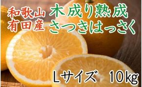 こだわりの和歌山有田産木成り熟成さつき八朔10kg(Lサイズ) ★2025年4月より順次発送     BZ051