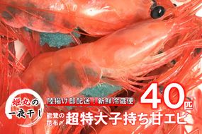 [D023] 【2025年1月～10月発送】獲れたて鮮度抜群！姫丸の子持ち甘エビ40匹丸ごと昆布〆