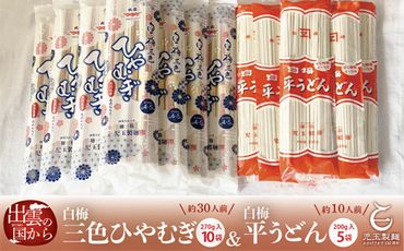 創業百年老舗の味　期間限定「児玉製麺元祖白梅ひやむぎ・うどん」【1-313】