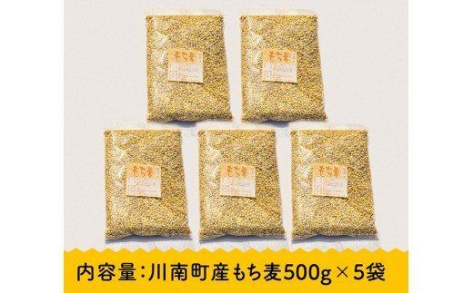 令和7年産 もち麦 2.5kg（500g×5袋） 【 ふるさと納税 国産 麦 もち麦 食物繊維 数量限定 宮崎県産 川南町産 送料無料 】 [C05401]