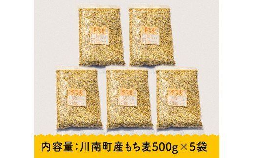 令和5年産 もち麦 2.5kg（500g×5袋）【国産 麦 もち麦 食物繊維】 [E5401]