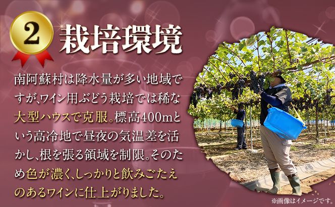 南阿蘇村産ぶどう100%使用 赤ワイン RED cow 1本 750ml《30日以内に出荷予定(土日祝除く)》熊本県 南阿蘇村 カベルネ・ソーヴィニヨン ヤマ・ソーヴィニヨン ワイン 酒 お酒---sms_winecow_30d_r7_13000_750ml---