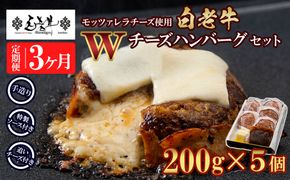 定期便3カ月 お楽しみ 白老牛 Ｗチーズ ハンバーグ セット 5個 モッツァレラ 特製ソース ベーコン 手造り BY088