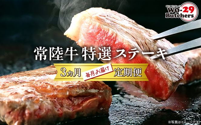 y錧SzK2357y/3A͂z 헤I T[CXe[LEԐgXe[LEqXe[L