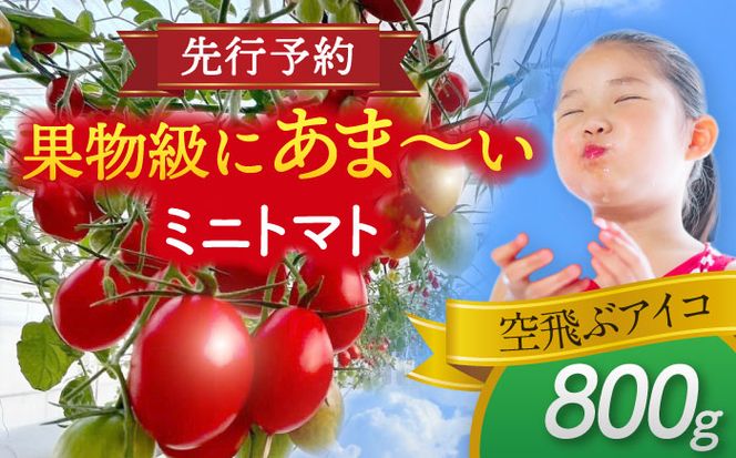 ymszys\z  _N1菇^ ~jg}g(ԃACR)800g g}g  VN Ԍg}g s / АΌ_[AEBG006]