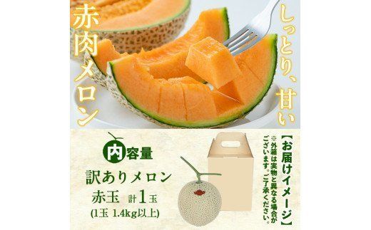 【春限定・数量限定】牧さんの訳ありメロン 赤玉(赤肉)1玉 a1-057