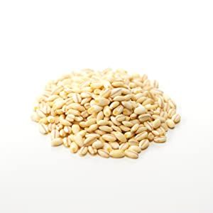 もちもちぷちぷち食感♪　国産もち麦  800g×6袋　チャック付 食物繊維 大麦 大容量 はくばく ハクバク 国産 もち麦 もちむぎ 山梨 やまなし 富士川町