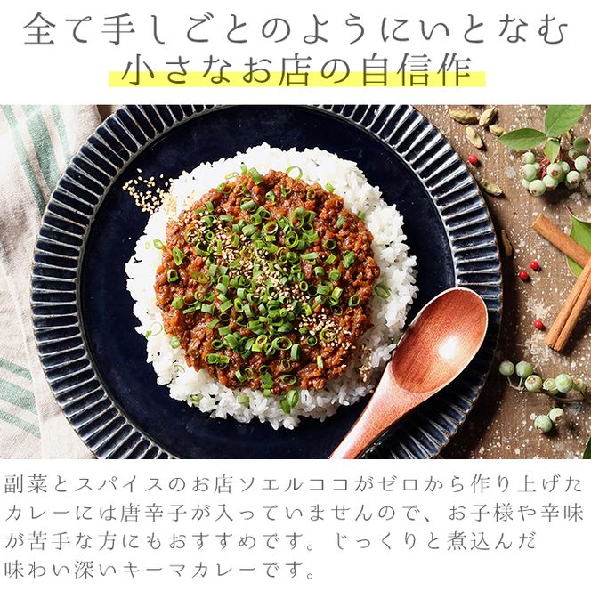 【0124206a】唐辛子ゼロ！おだしが隠し味の和風キーマカレー(120g×4パック・真空パック) レトルト 小分け 個包装 おかず【Food＆SpiceSoerwCoco】