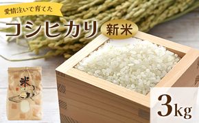 米 3kg 新米 愛情注いで育てたコシヒカリの新米3kg - こしひかり お米 白米 精米 ご飯 ごはん 株式会社都築企画 高知県 香南市 td-0003