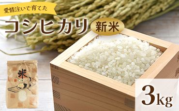 米 3kg 新米 愛情注いで育てたコシヒカリの新米3kg - こしひかり お米 白米 精米 ご飯 ごはん 株式会社都築企画 高知県 香南市 td-0003