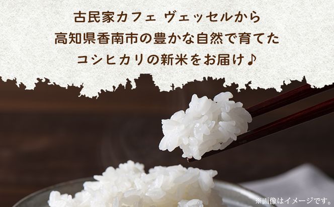 米 3kg 新米 愛情注いで育てたコシヒカリの新米3kg - こしひかり お米 白米 精米 ご飯 ごはん 株式会社都築企画 高知県 香南市 td-0003