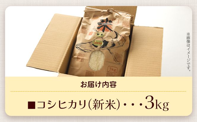 米 3kg 新米 愛情注いで育てたコシヒカリの新米3kg - こしひかり お米 白米 精米 ご飯 ごはん 株式会社都築企画 高知県 香南市 td-0003