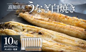 うなぎ 国産 白焼き 1kg以上 10尾×100～120g 鰻 大容量 - 蒲焼き タレ付き 国産 鰻 ウナギ 有頭 ご飯のお供 吉川水産 高知県 香南市 冷凍 yw-0082