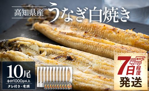 [数量限定] うなぎ 国産 白焼き 1kg以上 10尾×100〜120g 鰻 大容量 - 蒲焼き タレ付き 国産 鰻 ウナギ 有頭 背開き つまみ ご飯のお供 老舗 土佐湾 吉川水産 高知県 香南市 冷凍 yw-0082