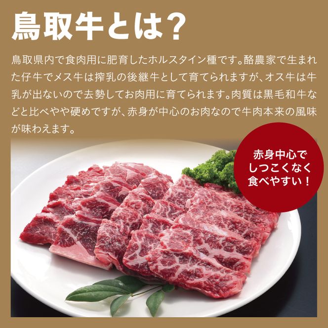 0298 鳥取牛サンカクバラ焼肉用 600g(冷凍)