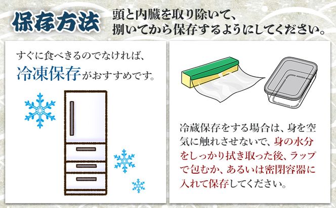カンパチ 鮮魚 １匹 3.5kg～4kg 【先行申込】 手結沖養殖 - 期間限定 魚 かんぱち 海鮮 鮮魚 魚介類 海の幸 ギフト お刺身 煮物 焼き魚 おかず 産地直送 ny-0005