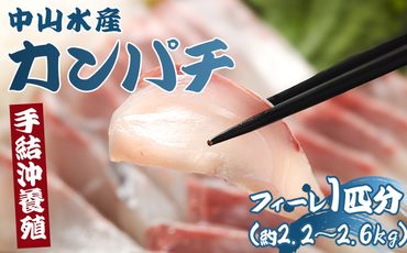 カンパチ 鮮魚 カンパチフィレ 約2.2kg～2.6Kg 手結沖養殖 - 期間限定 魚 かんぱち 海鮮 鮮魚 魚介類 切り身 海の幸 ギフト お刺身 煮物 焼き魚 おかず 手結沖養殖 産地直送  高知県 香南市 ny-0008