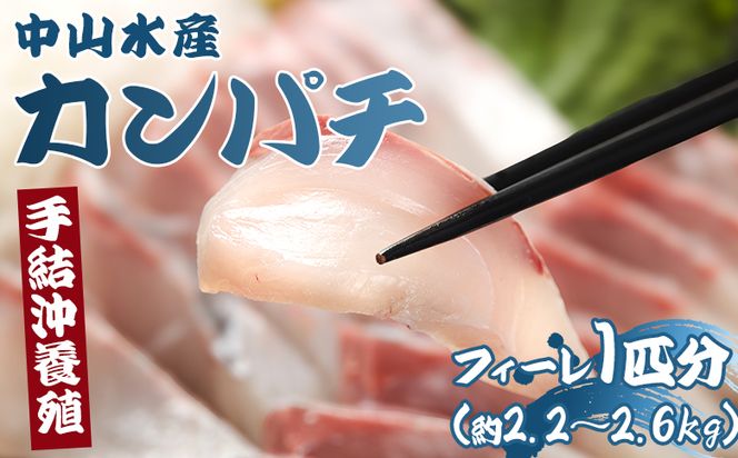 カンパチ 鮮魚 カンパチフィレ 約2.2kg～2.6Kg 手結沖養殖 - 期間限定 魚 かんぱち 海鮮 鮮魚 魚介類 切り身 海の幸 ギフト お刺身 煮物 焼き魚 おかず 手結沖養殖 産地直送  高知県 香南市 ny-0008