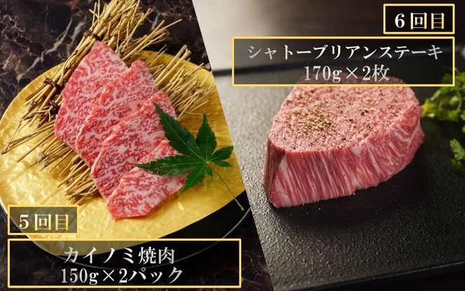 毎月お届け! おおいた和牛を贅沢に味わい尽くす半年間定期便 / 赤身系 計6回 _2312R