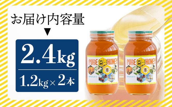 はちみつ 国産 蜂蜜 甘い 和田養蜂場 百花はちみつ(1.2kg)2本 -国産 蜂蜜 ハチミツ ハニー 朝食 トースト おやつ デザート スイーツ アレンジ ティータイム 高知県 香南市 wh-0006