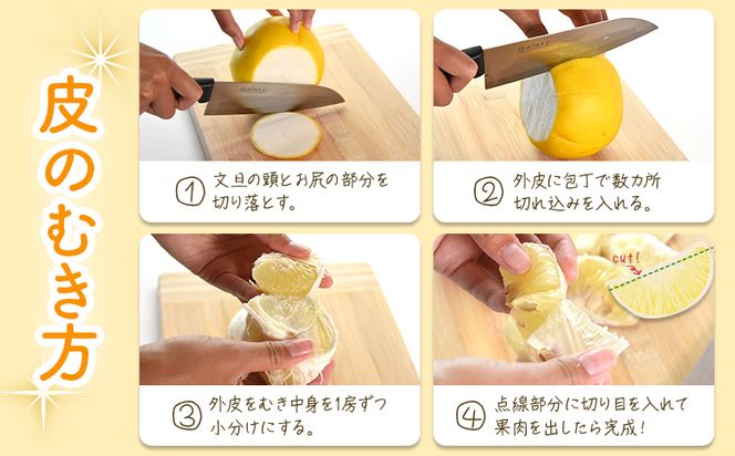 土佐文旦♪大玉ちゃん&訳ありGabri2箱同梱 みんなの土佐文旦 大箱（～10kg）大玉3Lサイズ