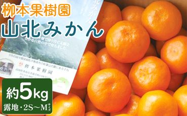 栁本果樹園の山北みかん 5kg(露地・2S～M) - 果物 フルーツ 柑橘類 温州みかん ミカン 蜜柑 甘い おいしい のし 贈り物 期間限定 季節限定 数量限定 高知県 香南市 yg-0011