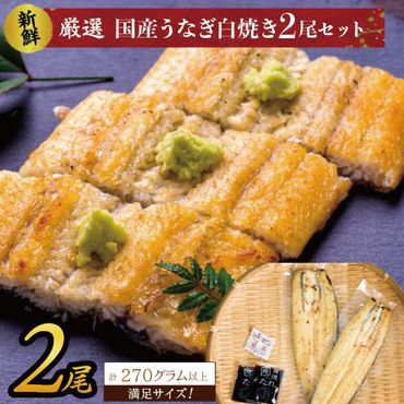 茨城県行方市（検索条件:うなぎ, 在庫あり）の返礼品を探す | ふるさと