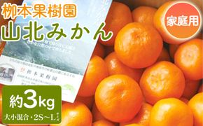 家庭用 柳本果樹園の山北みかん 3kg 大小混合(2S～L) - 果物 フルーツ 柑橘類 温州みかん ミカン 蜜柑 甘い おいしい 訳あり キズ 大小混合 期間限定 季節限定 数量限定 高知県 香南市 yg-0012