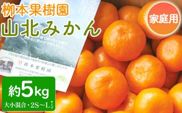 家庭用 柳本果樹園の山北みかん 5kg 大小混合(2S～L) - 果物 フルーツ 柑橘類 温州みかん ミカン 蜜柑 甘い おいしい 訳あり キズ 大小混合 期間限定 季節限定 数量限定 高知県 香南市 yg-0013