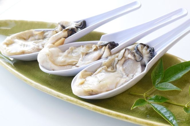 むき身 地秀かき 生食用 500g ×2袋 [かみたいら 宮城県 気仙沼市 20564232] カキ 牡蠣 かき 生食 剥き身 オイスター 冷蔵