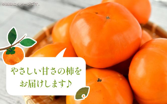 柿 3kg - 果物 くだもの フルーツ カキ かき 甘い おいしい 送料無料 期間限定 季節限定 数量限定 柳本果樹園 高知県 香南市 yg-0014