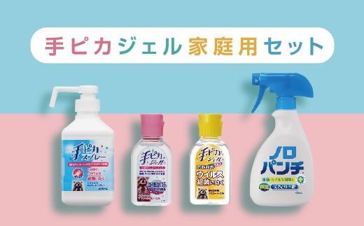 【1-350】手ピカご家庭用セット【アルコール消毒】（指定医薬部外品）