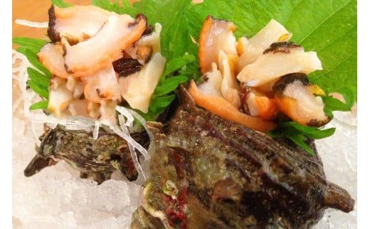 【サザエ 兵庫県香住産 新鮮 天然 活サザエ 1kg（7～10個）冷蔵】※発送目安：入金確認後、順次発送 香住で水揚げされた新鮮なサザエをお届けします。つぼ焼き、炊き込みご飯（サザエ飯）、酒の肴などに