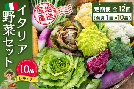 年間定期便12回 イタリア野菜セットレギュラー 10品 【有機野菜 おまかせ野菜セット イタリア野菜 西洋野菜 定期便】(H078149)