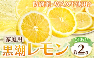 家庭用 黒潮 レモン 約 2kg +60g（傷み補償分）和歌山 有田産 防腐剤・WAX不使用 安心 国産 レモン 池田鹿蔵農園@日高町（池田農園株式会社）《9月上旬-5月中旬頃より発送予定》和歌山県 日高町 訳あり わけあり 家庭用 レモン 柑橘 からあげ ハイボール にもピッタリ！ れもん 檸檬 lemon【配送不可地域あり】---wsh_ikd54_a95_23_7000_2000g---