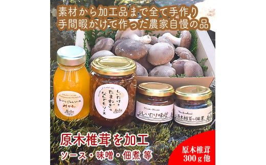 原木生椎茸と椎茸のソース&味噌&佃煮、椎茸の廃ホダを肥料に育ったみかんジャムのセット