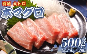 本マグロ 大トロ  2冊 養殖 約500g - 鮪 まぐろ 寿司 刺身 海鮮丼 漬け丼 カルパッチョ おつまみ 海産物 魚介 海の幸 高知県 香南市 oo-0001