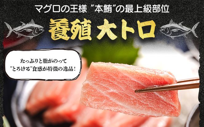 本マグロ 大トロ  2冊 養殖 約500g - 鮪 まぐろ 寿司 刺身 海鮮丼 漬け丼 カルパッチョ おつまみ 海産物 魚介 海の幸 高知県 香南市 oo-0001