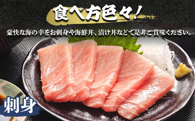 マグロ 本まぐろ 養殖 中トロ 約500g 2冊 oo-0002