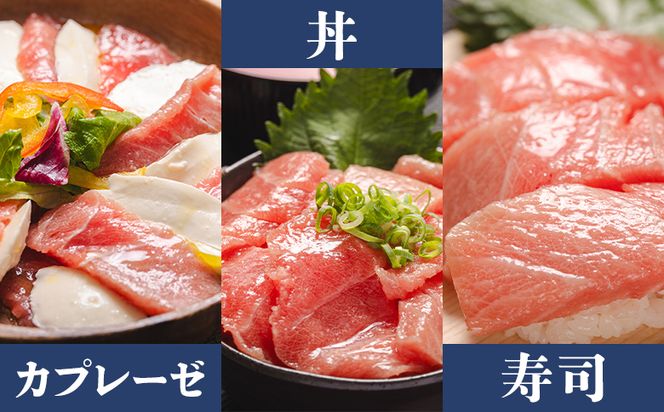 中トロ 定期便 3回 約250g 2冊 養殖 本マグロ 合計1.5kg Woo-0023