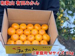 【ご家庭用・サイズＭ】和歌山有田産！早生みかん≪5kg≫【予約販売】【数量限定】まる隆果樹園 CS020