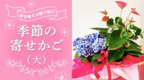 季節の寄せかご（大） 花 お花 フラワー 誕生日 プレゼント ギフト 贈り物 父の日 母の日 [AS02-NT]