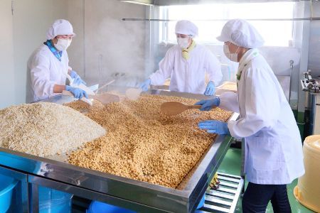 添加物不使用 手作り【こじかの白雪みそ】500g×2パック・小分け 【九州みそ 味噌汁 みそ汁 調味料】(H090102)