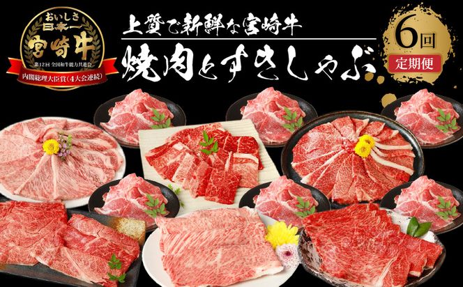 y{茧؏钬z{苍@ēƂԂU K18_T011_7