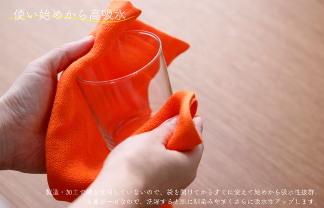 099H2534 ムコタオル むこふきん 5色5枚セット