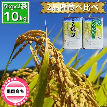 米 2品種 コシヒカリ・キヌヒカリ 食べ比べ 5kg × 2袋 10kg 施肥技術指導員監修《新米 令和5年産》SDGs未来都市亀岡 ※着日指定不可