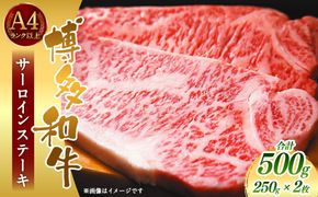 博多和牛サーロインステーキセット 500g (250g×2枚)