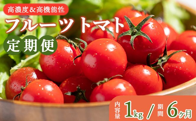 フルーツトマト 定期便 高糖度 高機能性 1kg 6カ月定期便 合計6kg -甘美の舞 期間限定 季節限定 野菜 やさい フルティカ 完熟 ミニトマト プチ 新鮮 お弁当 贈り物 サラダ 産地直送 高知県 香南市 Wkr-0033