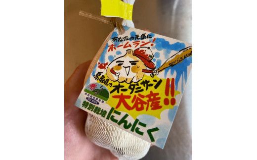 スイカ農家のフル～ティ黒にんにく　元気のたねこ大袋｜自然食品 美容 健康 疲労回復　鳥取県産　免疫力「鳥取県特別栽培農産物」認証の自社生産ホワイト六片とジャンボにんにくを使用※着日指定不可 ※2024年7月中旬～2025年2月下旬頃に順次発送予定